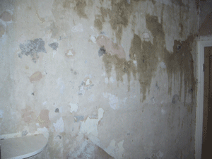 Wallpaper stripping - Recently stripped wall having removed 2 layers of woodchip paper - Southfields London SW19..