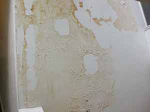 Decorating repair services - damp has come through this house wall in Barnes SW14 London